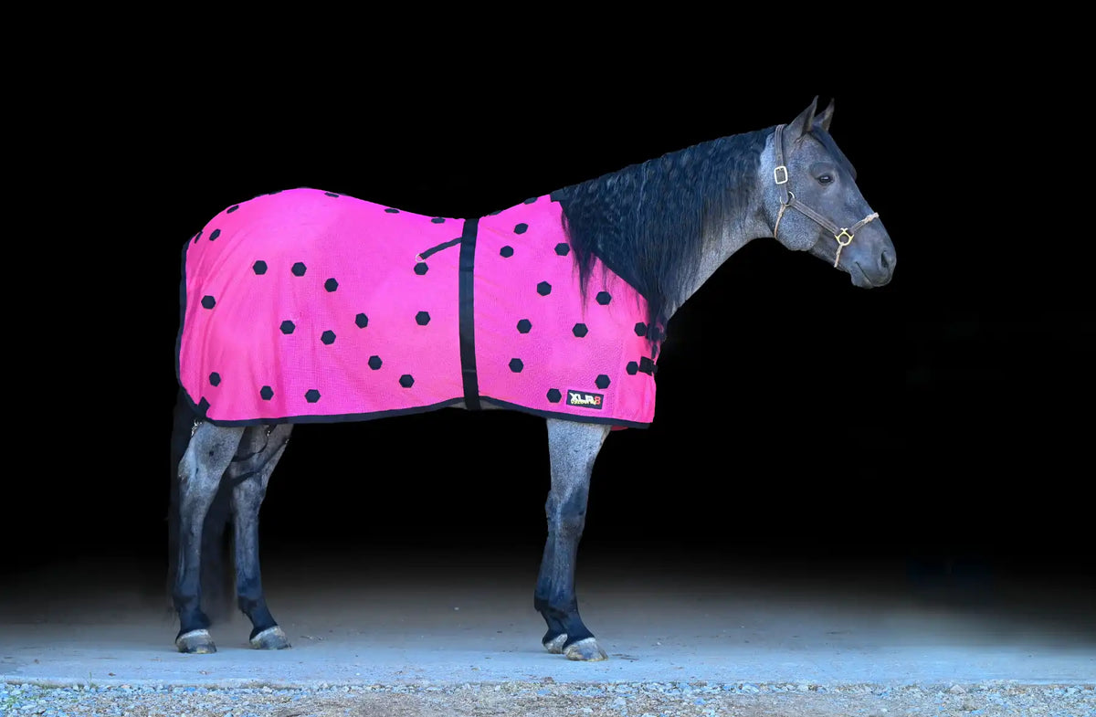 The Science Behind XLR8 Velocity Sheets XLR8 Equine