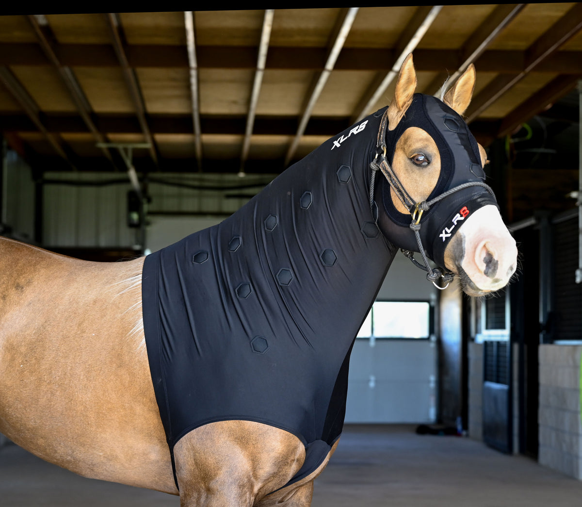 EQUINE COMPRESSION HOOD RED