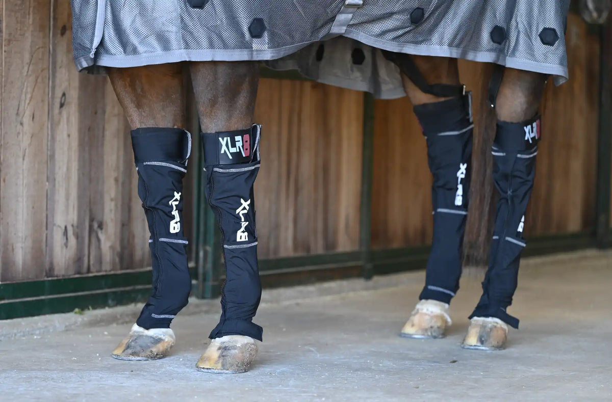 How to XLR8 Recovery with Equine Cryo Boots – XLR8 Equine
