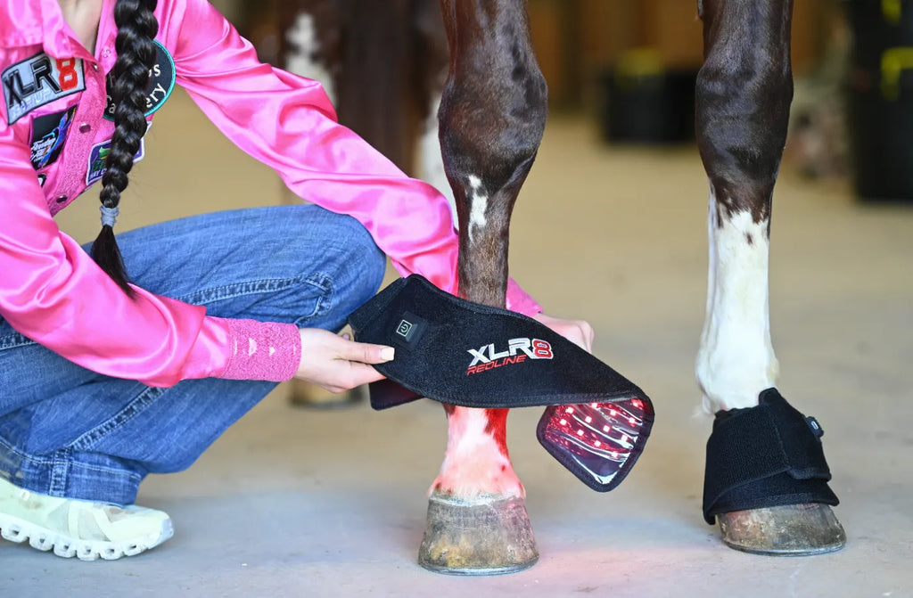 Benefits of Red Light Therapy for Equine Recovery and Performance
