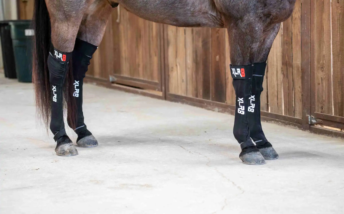 How to XLR8 Performance with equine GForce Boots XLR8 Equine