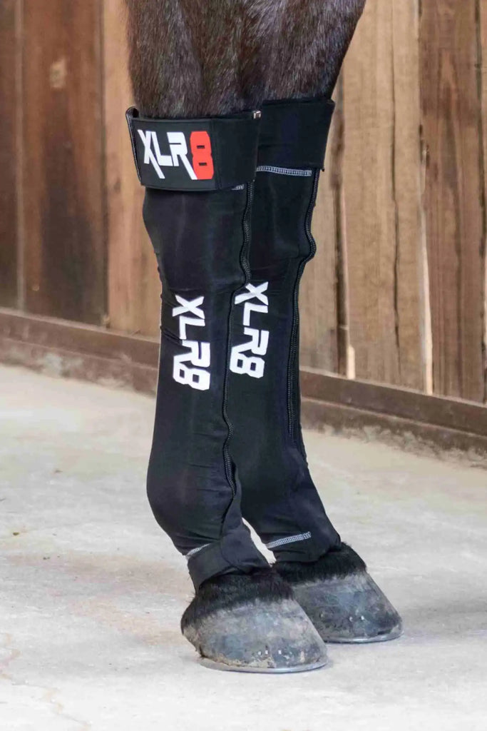 PREMIER EQUINE 9 POCKET HORSE ICE BOOTS Black | De Kroo Equestrian PREMIER EQUINE 9 POCKET HORSE ICE BOOTS Black | De Kroo Equestrian