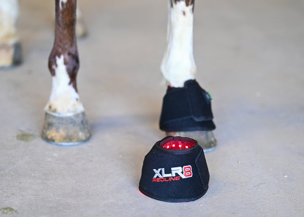 Redline Bell Boot - Pair