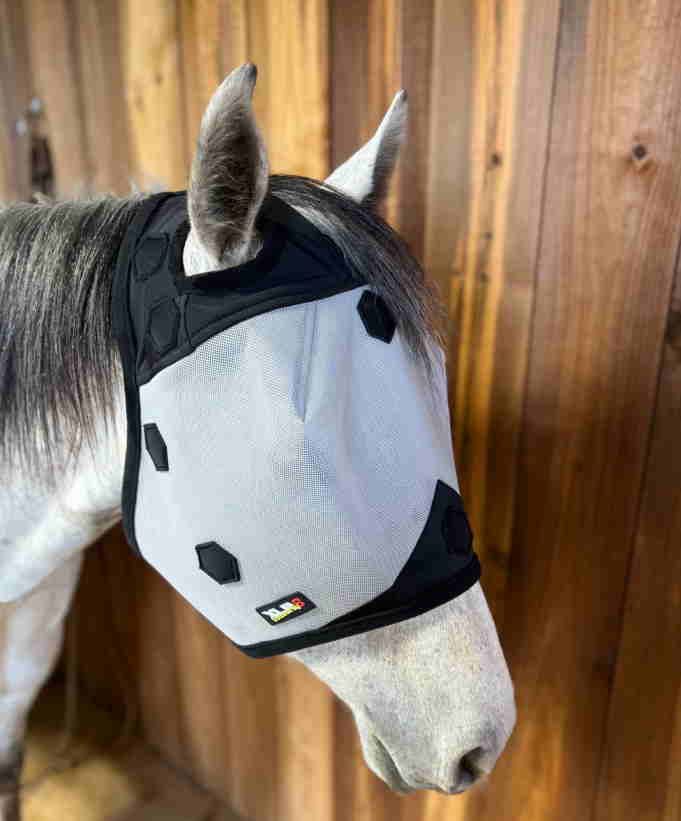 Products – XLR8 Equine