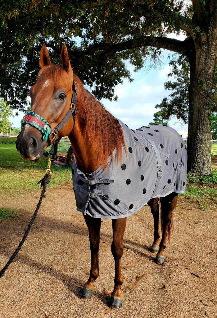 magnetic blanket for horses far infrared mesh equine therapy xlr8