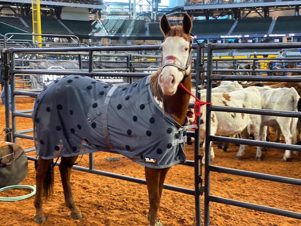 NFR QUALIFIER BRITTNEY BARNETT AND PAINT STICK WEARING XLR8 VELOCITY SHEET AT WNFR